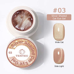 Silver Shaded Cat Eye Gel #03