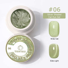 Silver Shaded Cat Eye Gel #06