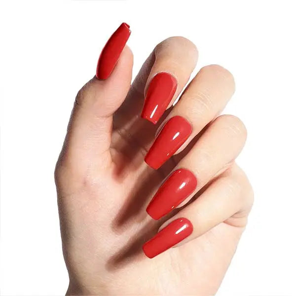 Carving/Dipping/Acrylic Powder 3 in 1 #01   aff93d-9f.myshopify.com Tenteu nail
