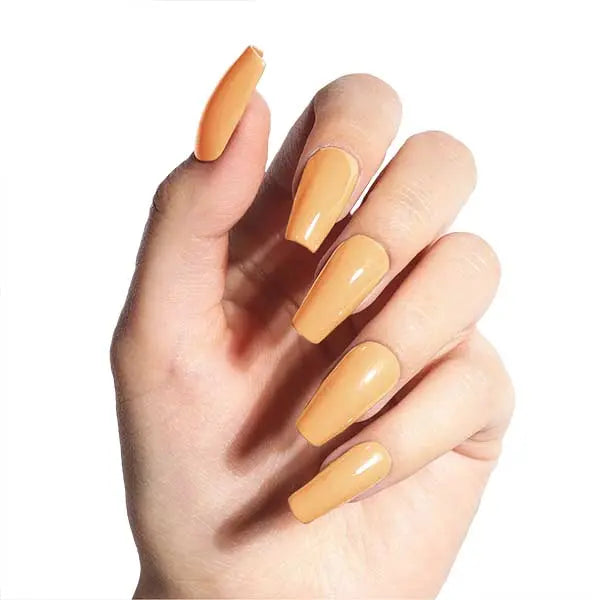 Carving/Dipping/Acrylic Powder 3 in 1  #11   aff93d-9f.myshopify.com Tenteu nail